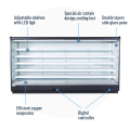 Latest Remote Multi-Deck Chiller Supermarket Refrigerator